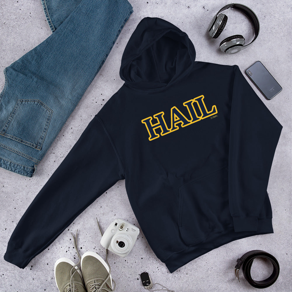 Hail Unisex Hoodie