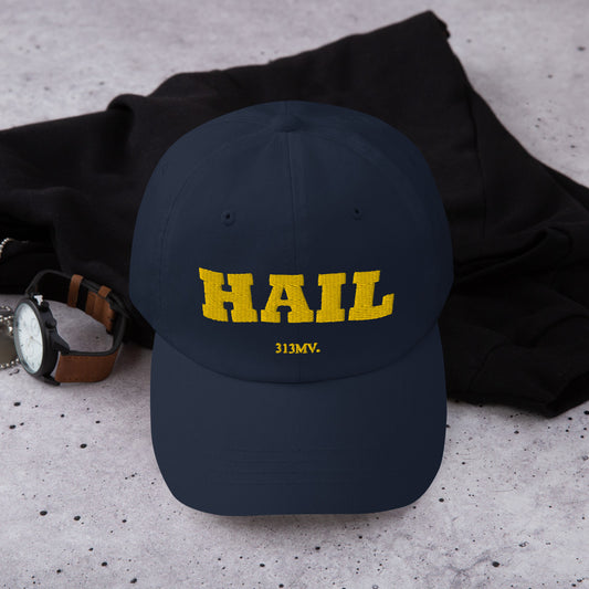 Hail Curved Embroidered hat