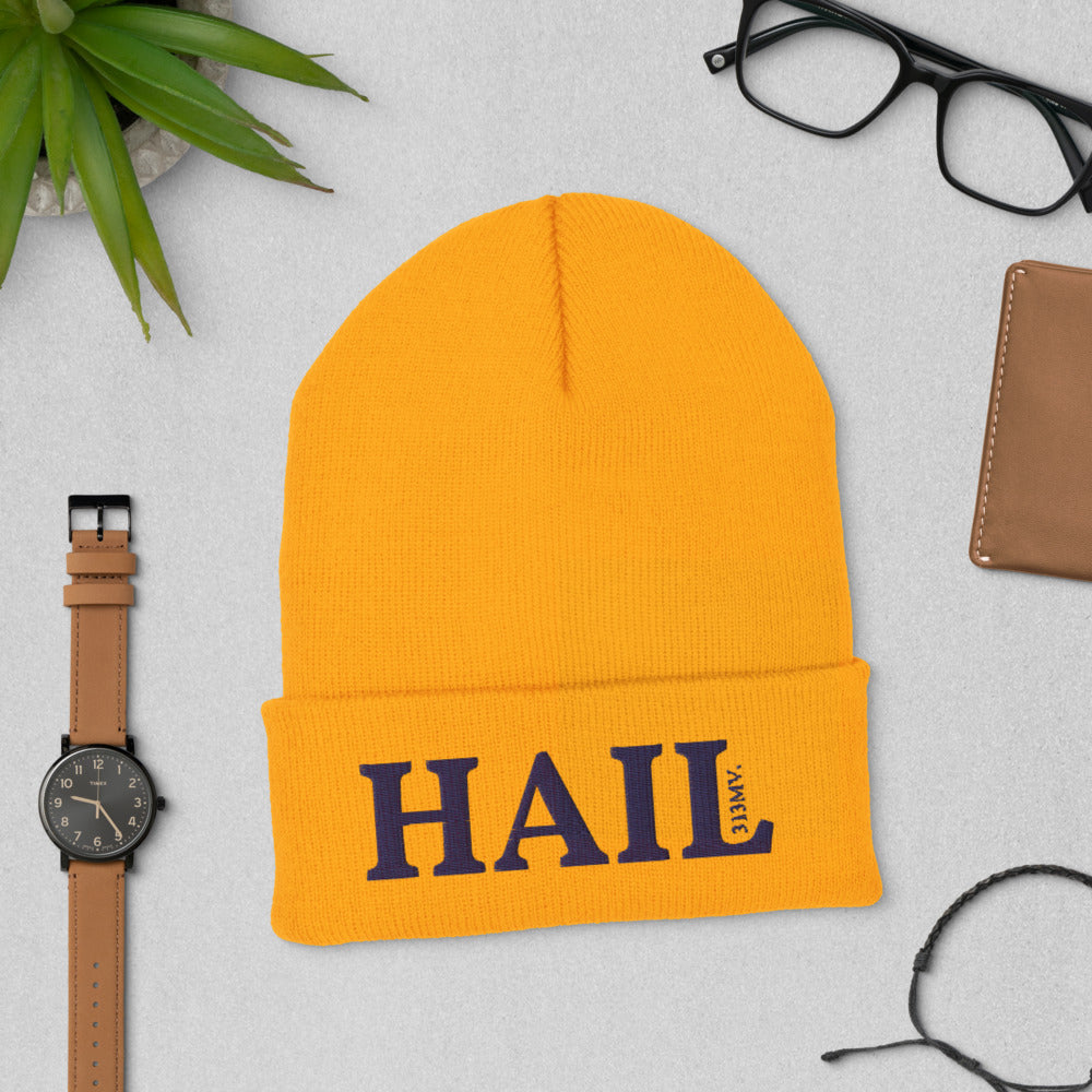 Hail Gold Cuffed Beanie