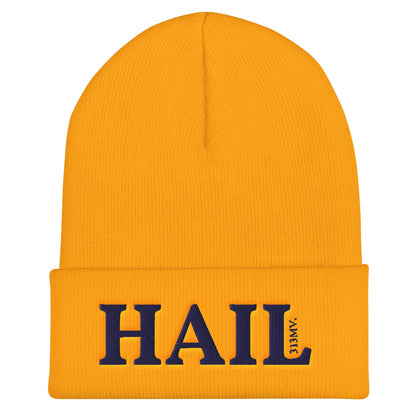 Hail Gold Cuffed Beanie