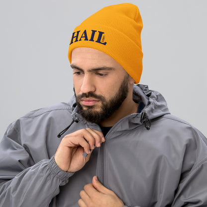 Hail Gold Cuffed Beanie