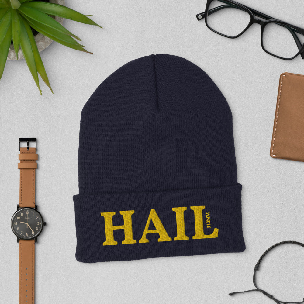 Hail Navy Blue Cuffed Beanie