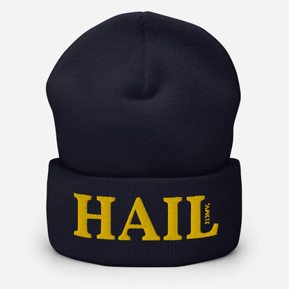 Hail Navy Blue Cuffed Beanie