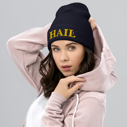 Hail Navy Blue Cuffed Beanie