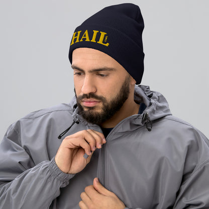 Hail Navy Blue Cuffed Beanie